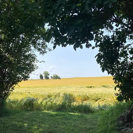 18th Century Gem With Soul Ærøskøbing